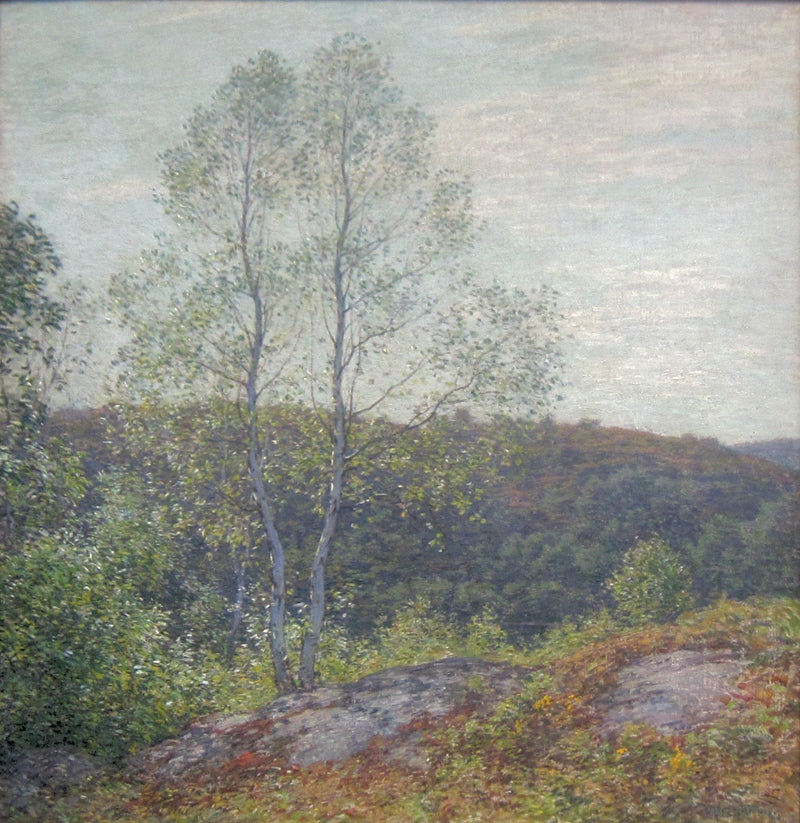 Близнецы берёзы - Уиллард Меткалф