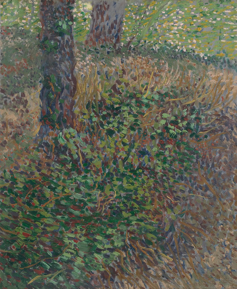 Брушаи - Винсент Ван Гог