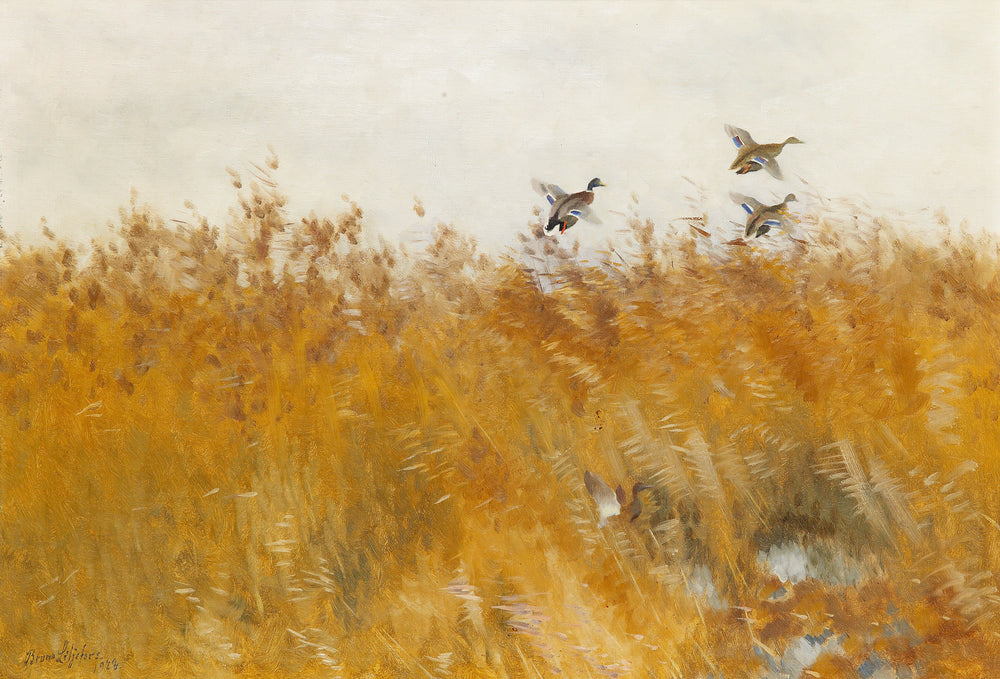 Canards colverts décollant - Bruno Liljefors image 1 copie peinte à la main à l’huile