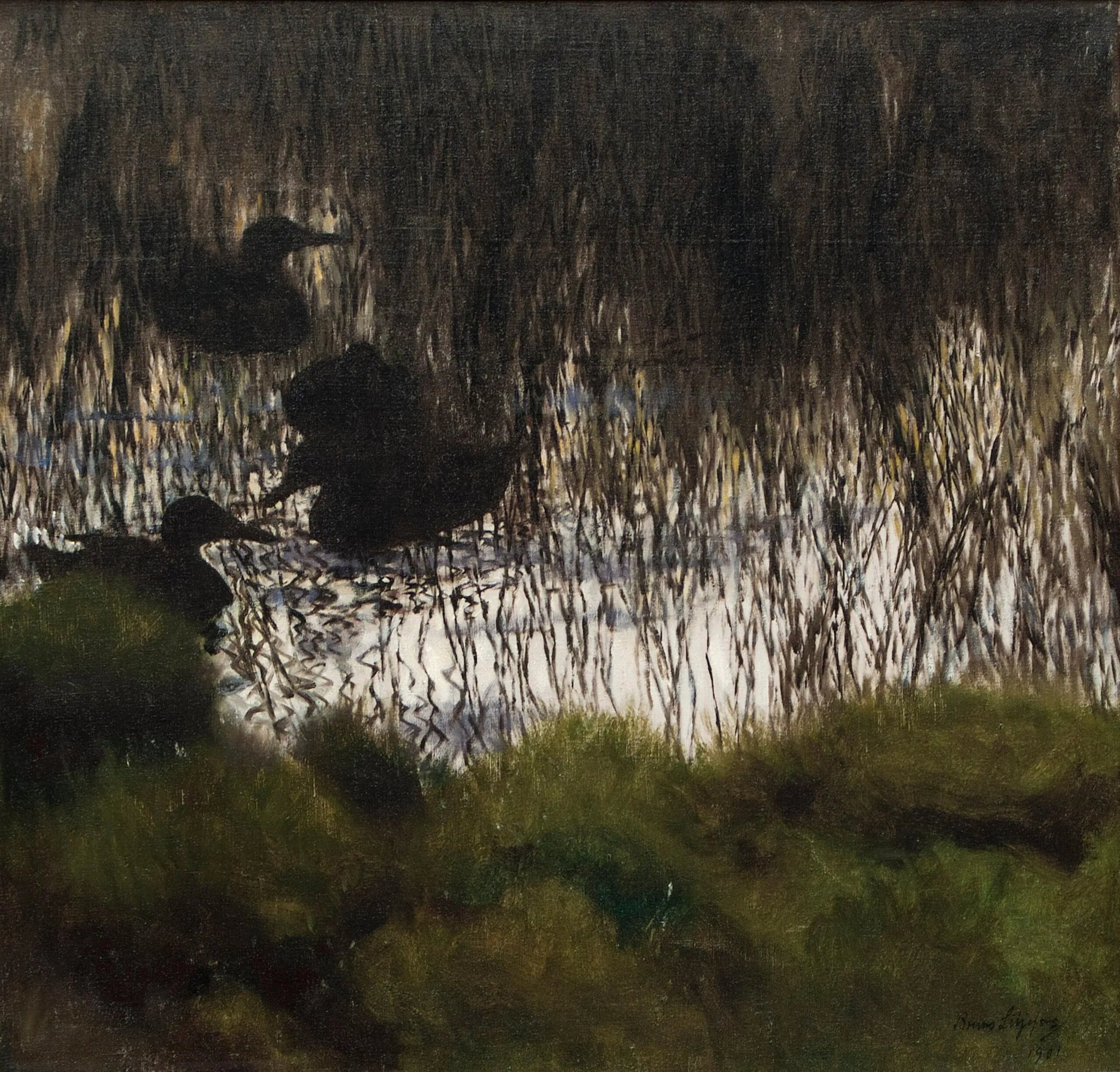 Canards sauvages dans les roseaux - Bruno Liljefors image 1 reproduction artisanale de tableau