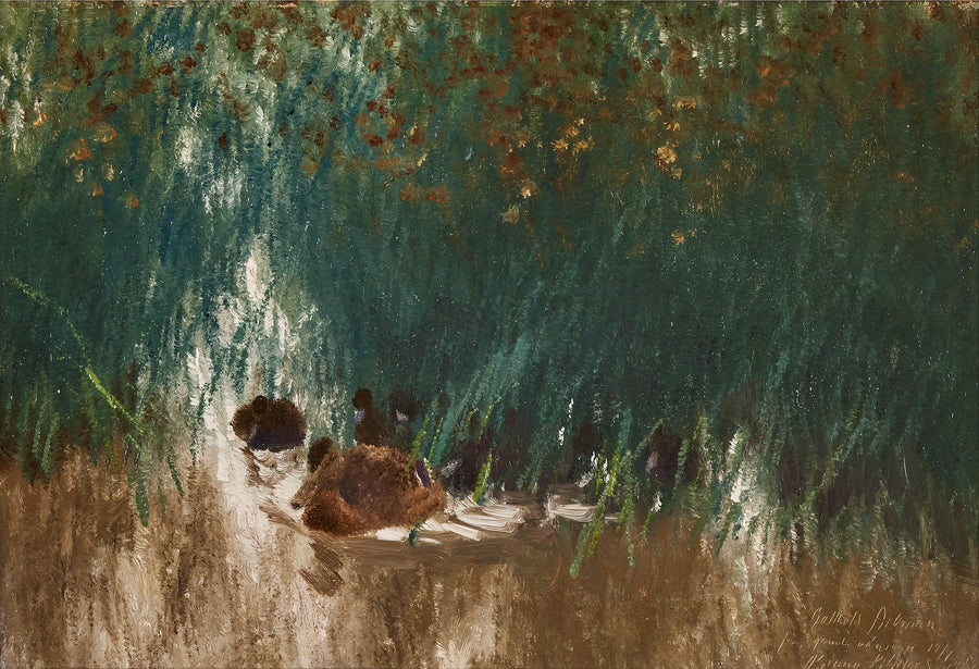 Cane colvert dans le roseau - Bruno Liljefors