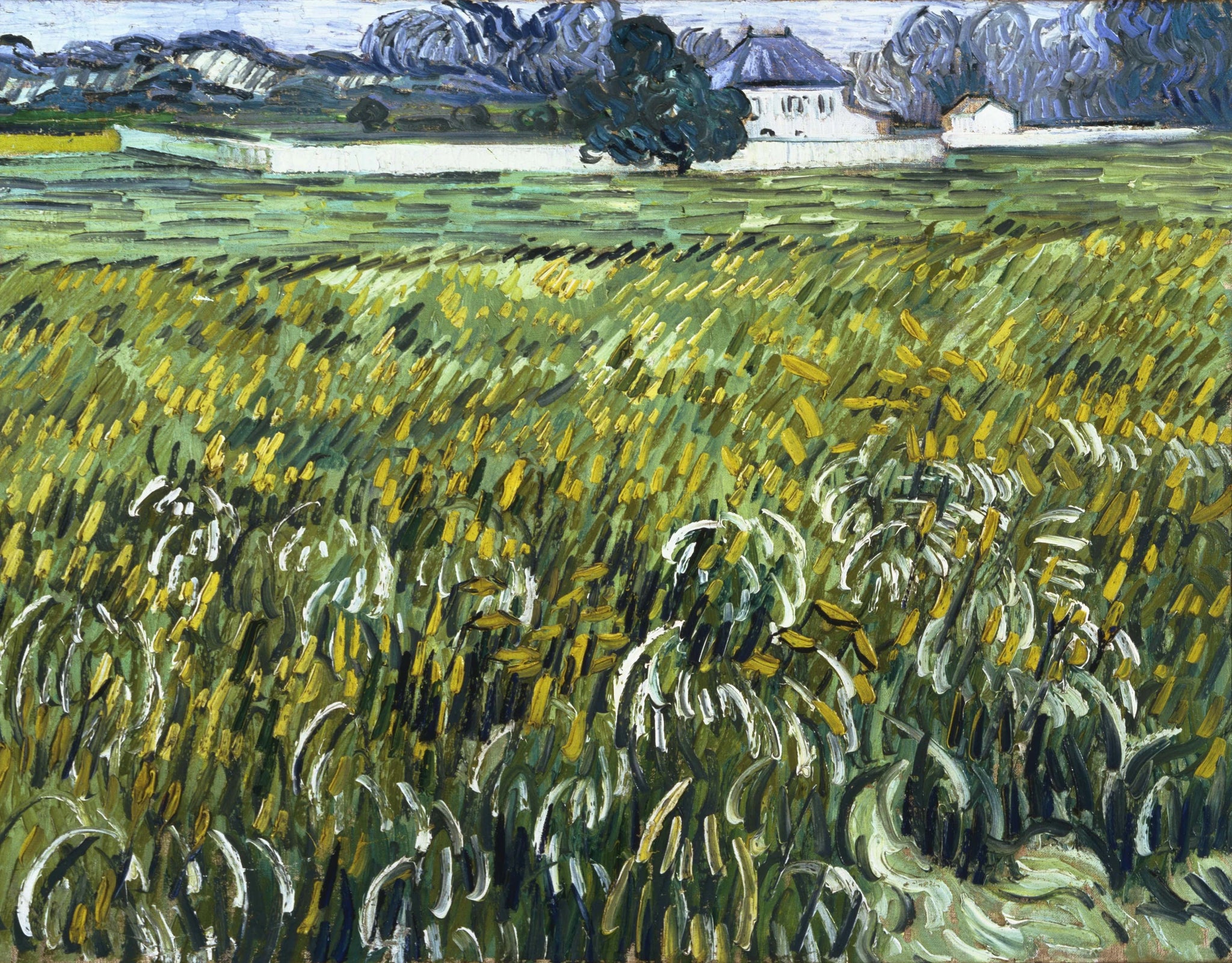 Champ de blé à Auvers avec maison de Vincent van Gogh, Phillips Collection, 0797