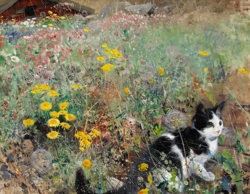Chat dans une prairie fleurie - Bruno Liljefors