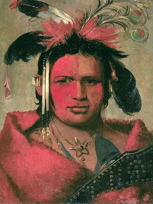 Chee-me-náh-na-quet Grand Nuage fils de Grizzly Bear - George Catlin - Alpha Reproduction