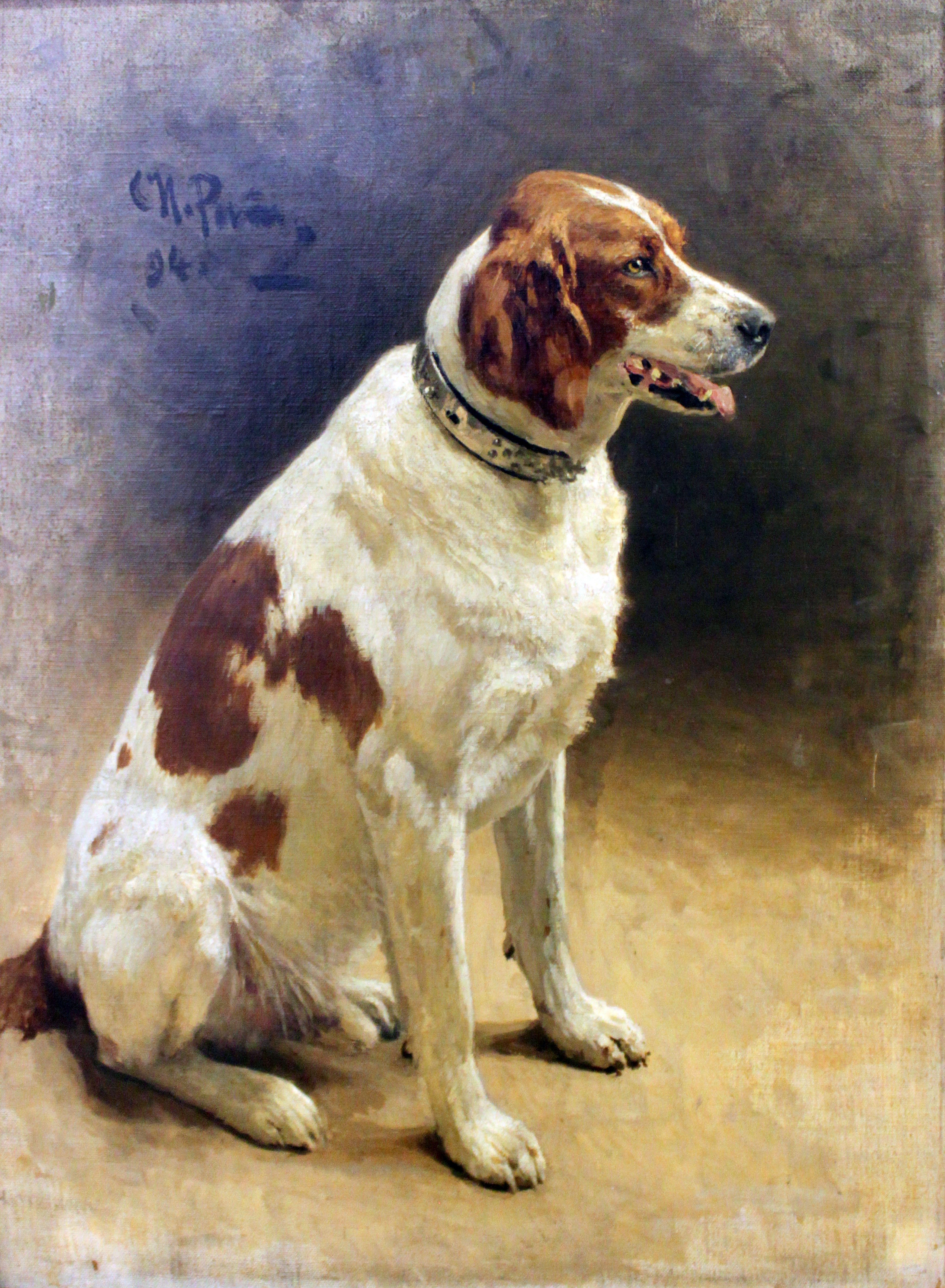 Chien (étude) - Ilya Repin - Alpha Reproduction