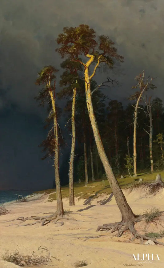 Côte sablonneuse - Ivan Shishkin - Reproductions de tableaux et peintures haut de gamme