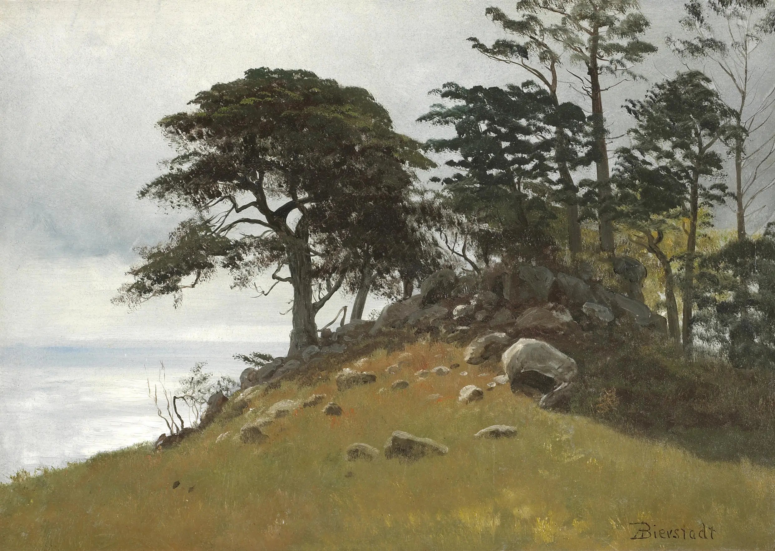 Cypress Point Monterey - Albert Bierstadt - Alpha Reproduction