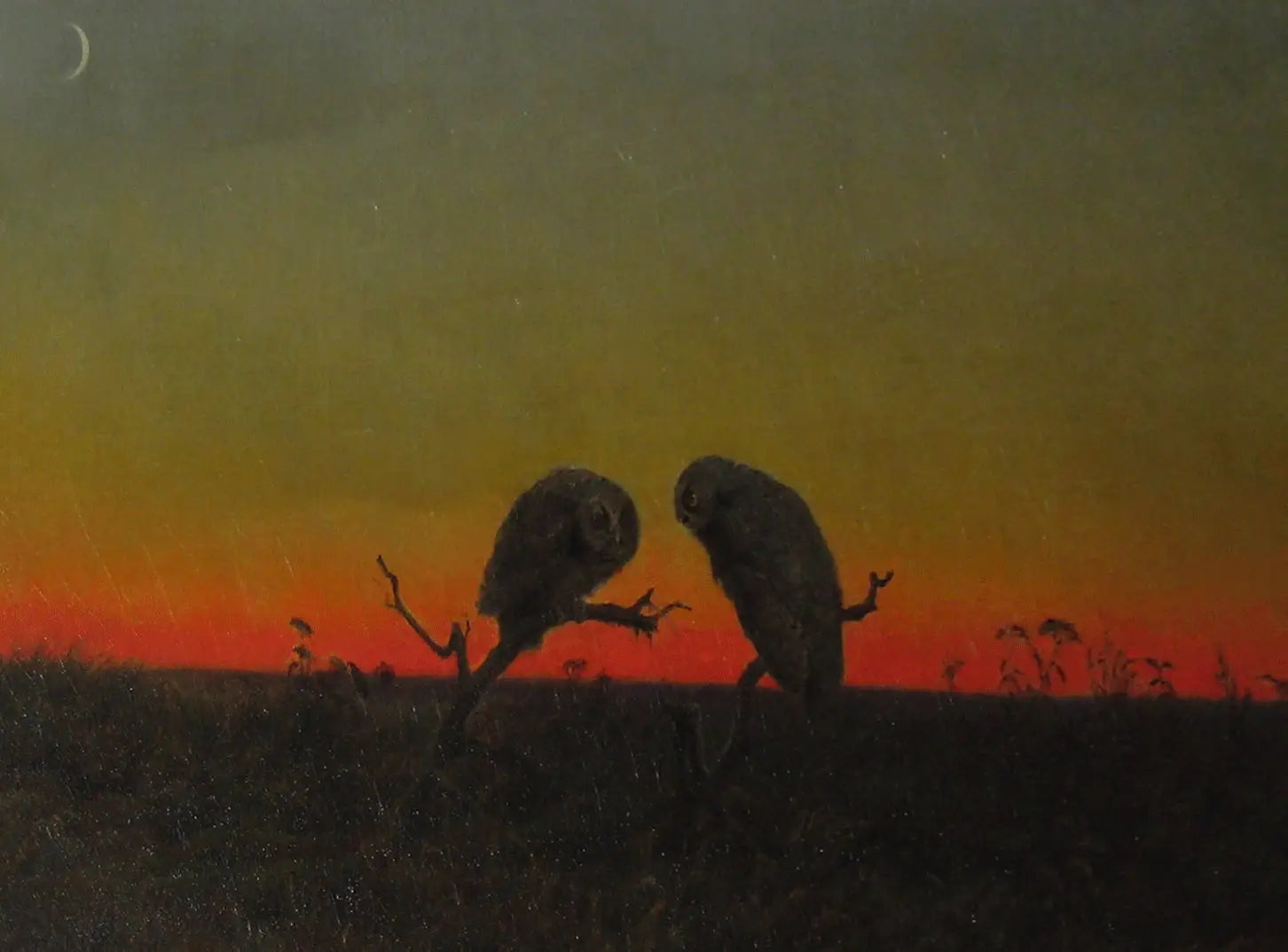 Deux hiboux au coucher du soleil - Martin Johnson Heade - Alpha Reproduction