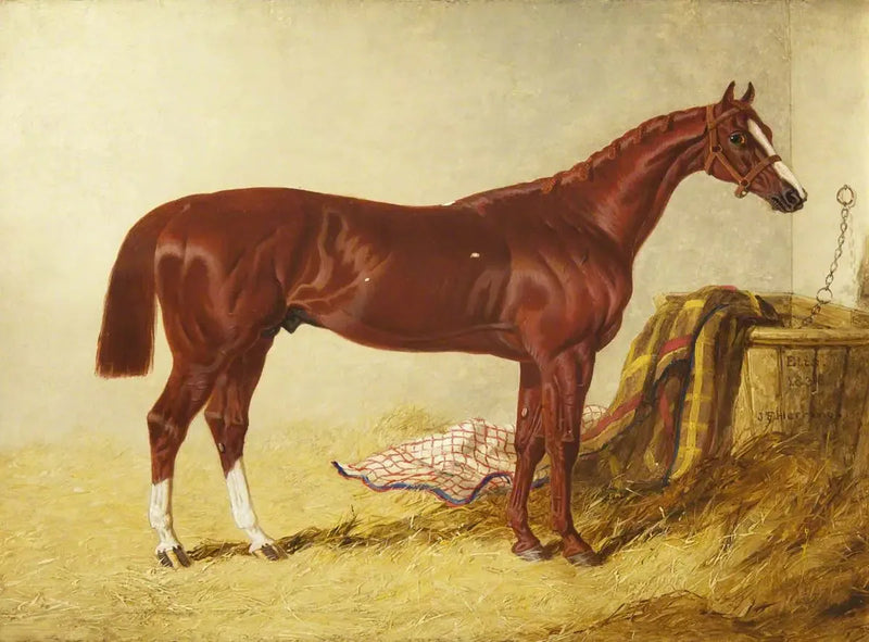Эли, победитель гонки St Leger Stakes, 1836, в отдельном боксе - Джон Фредерик Херринг, старший