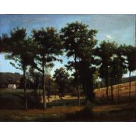 Environs de Ville-d’Avray - Jean-Baptiste Camille Corot - Alpha Reproduction