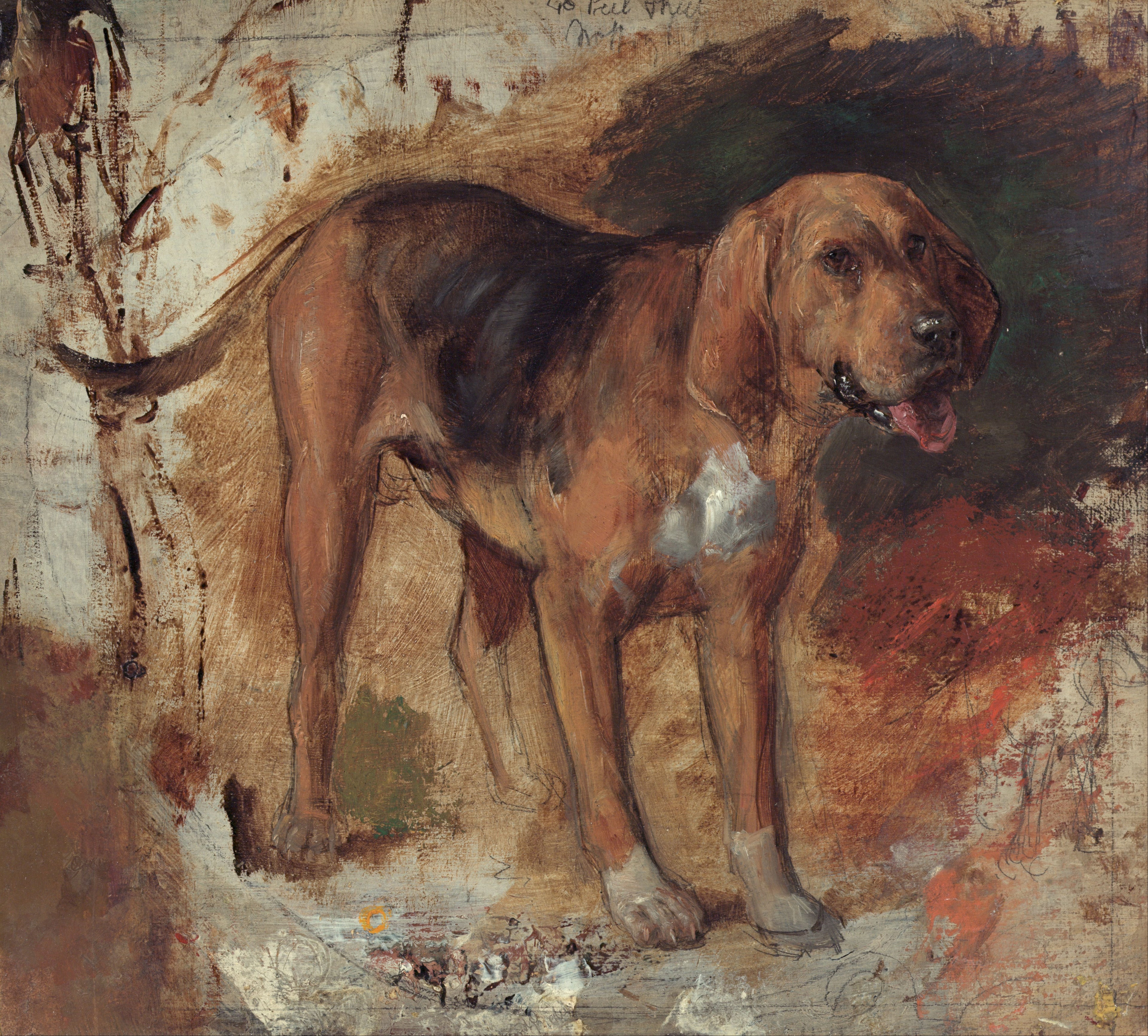Étude d’un chien de Saint-Hubert - William Holman Hunt - Alpha Reproduction
