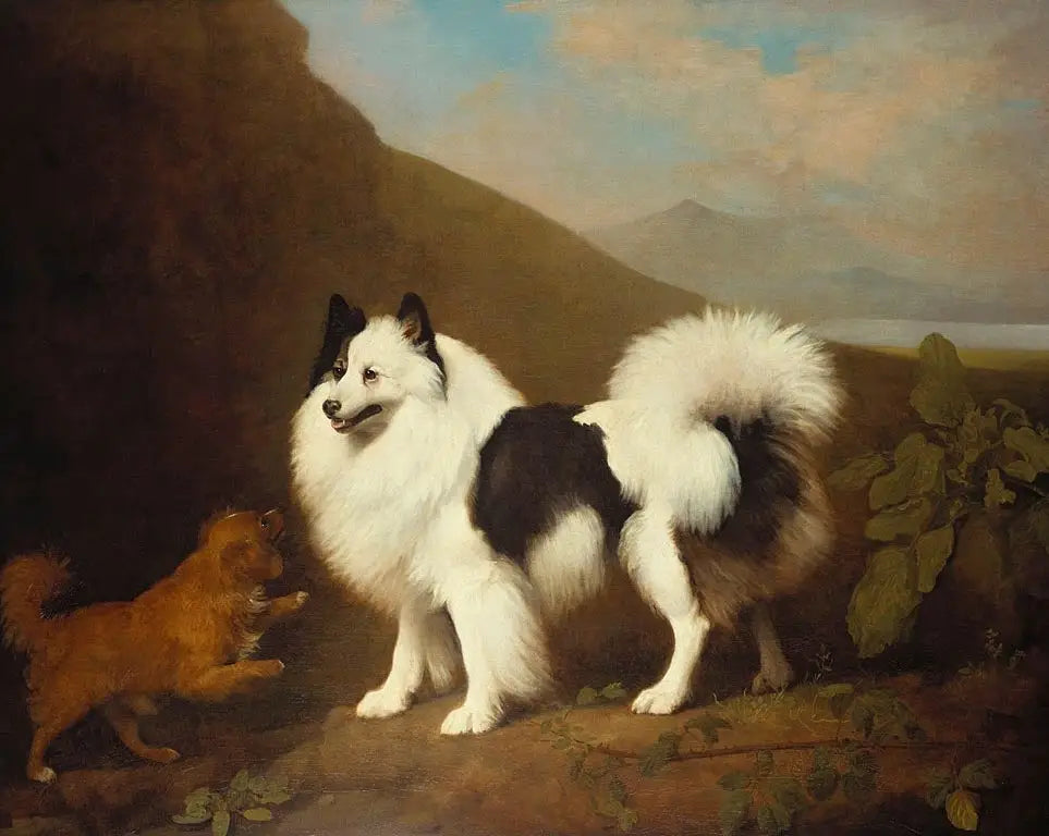 Fino et Tiny - George Stubbs - Alpha Reproduction