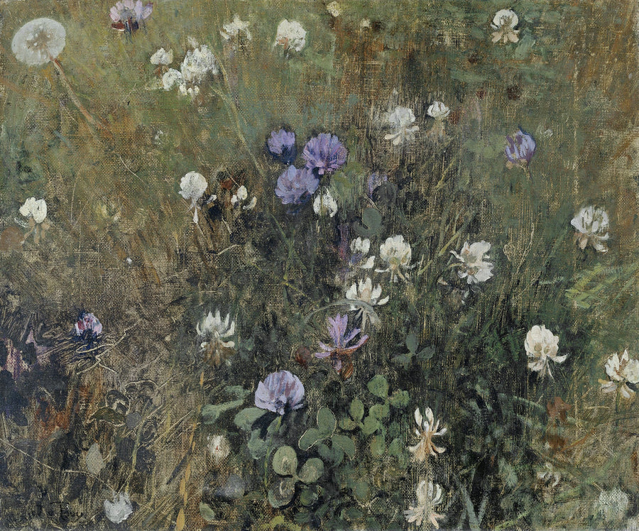 Fleurs de trèfle - Jacobus van Looy