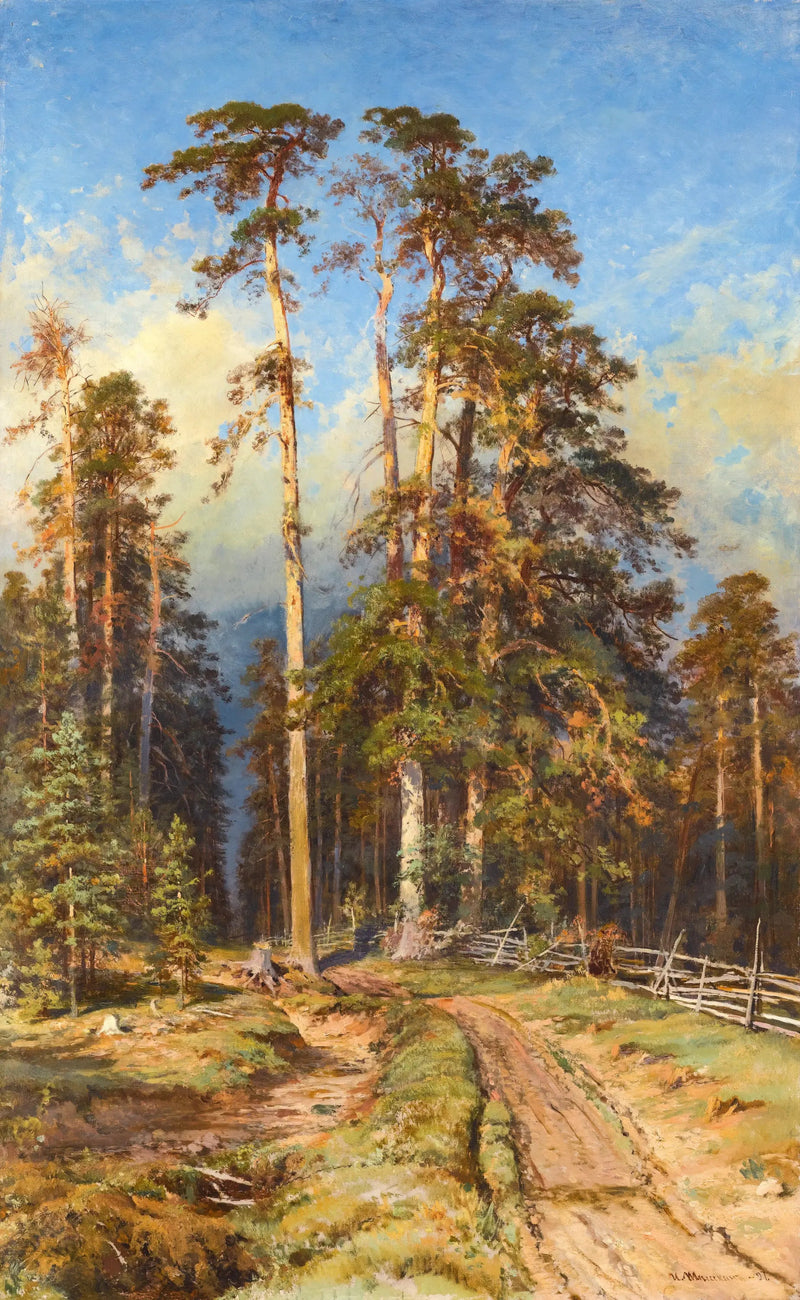 Сосновый лес - Иван Чихкин