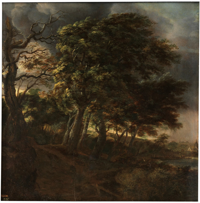Forêt - Simon de Vlieger