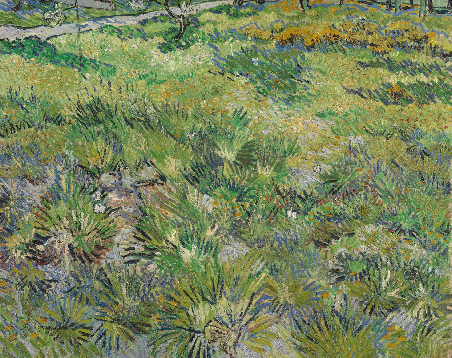 Herbe longue avec des papillons de Vincent van Gogh, National Gallery, NG4169
