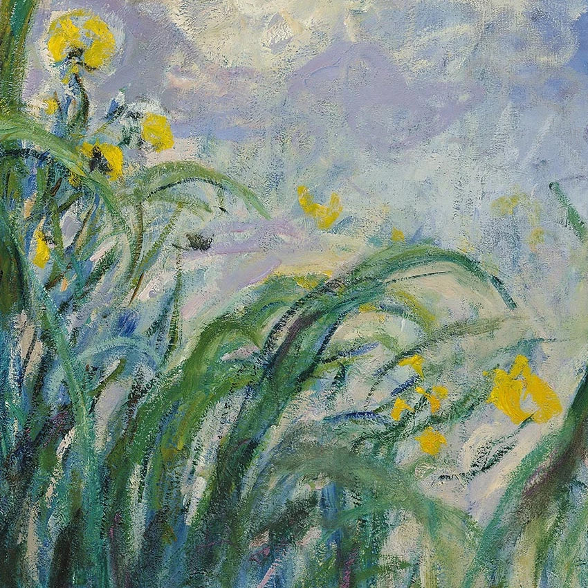 Détail des fleurs jaunes et de la lumière dans Les Iris jaunes