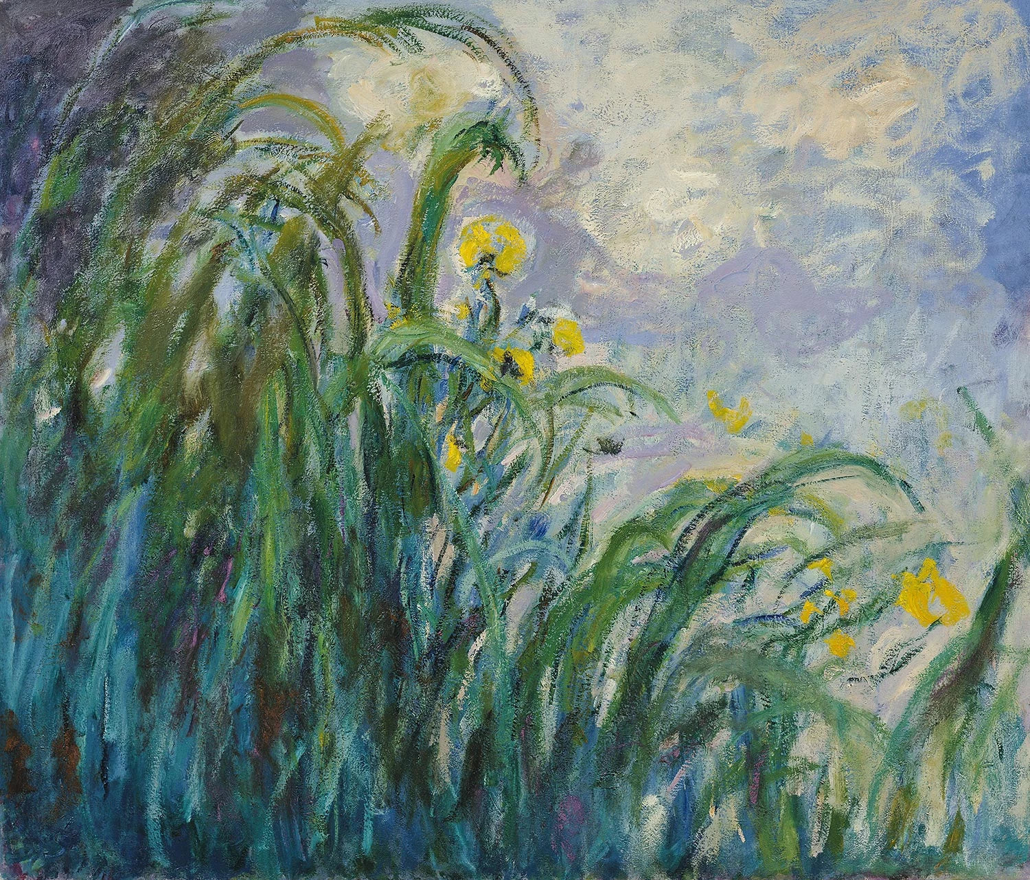 Les Iris jaunes de Claude Monet – vue complète, Musée Marmottan Monet