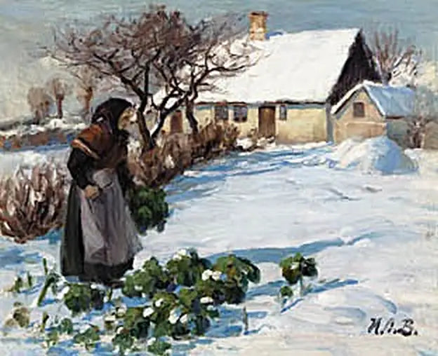 Женщина фермера собирает капусту в саду зимой. - H. A. Brendekilde
