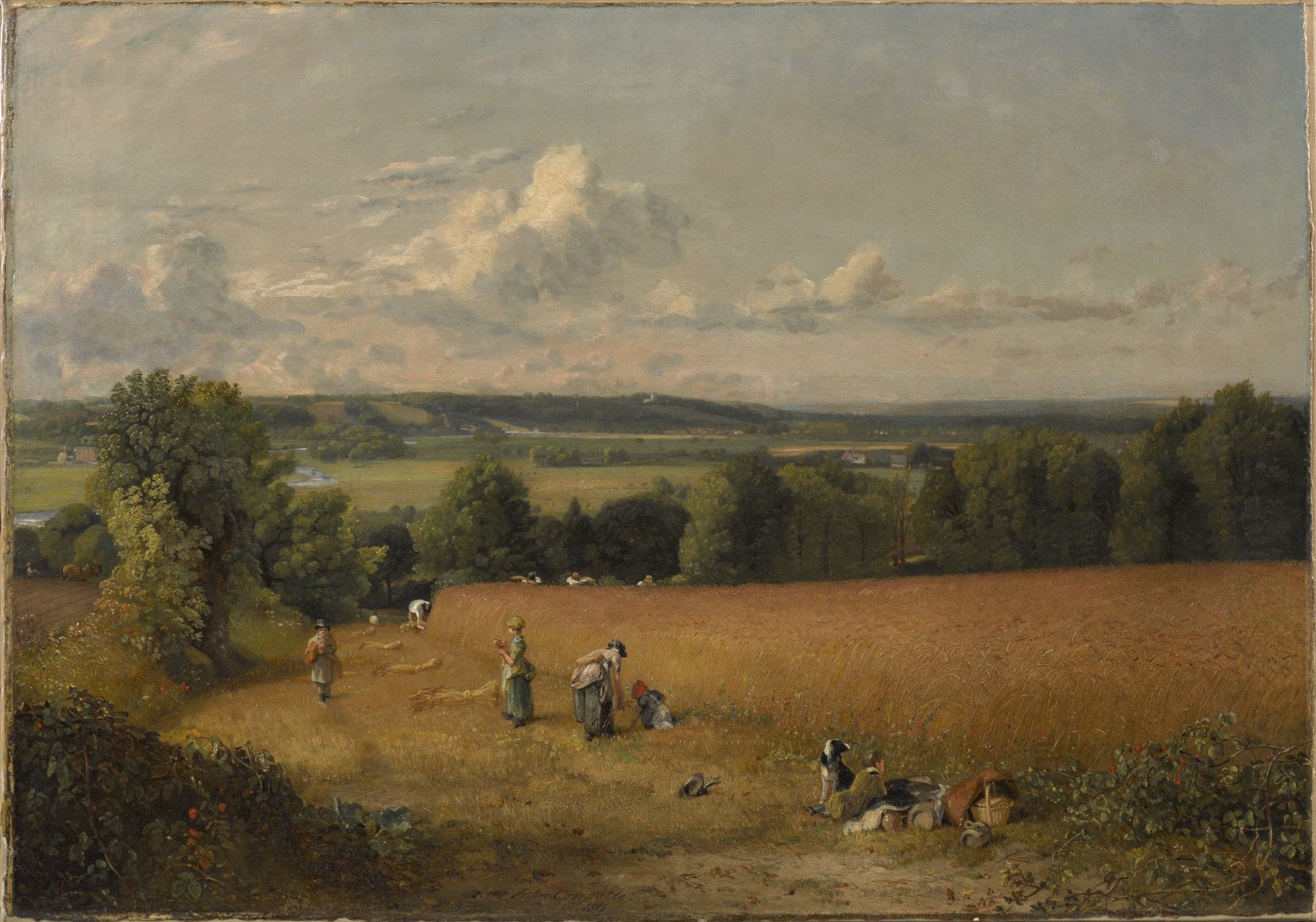 Le champ de blé - John Constable - Alpha Reproduction