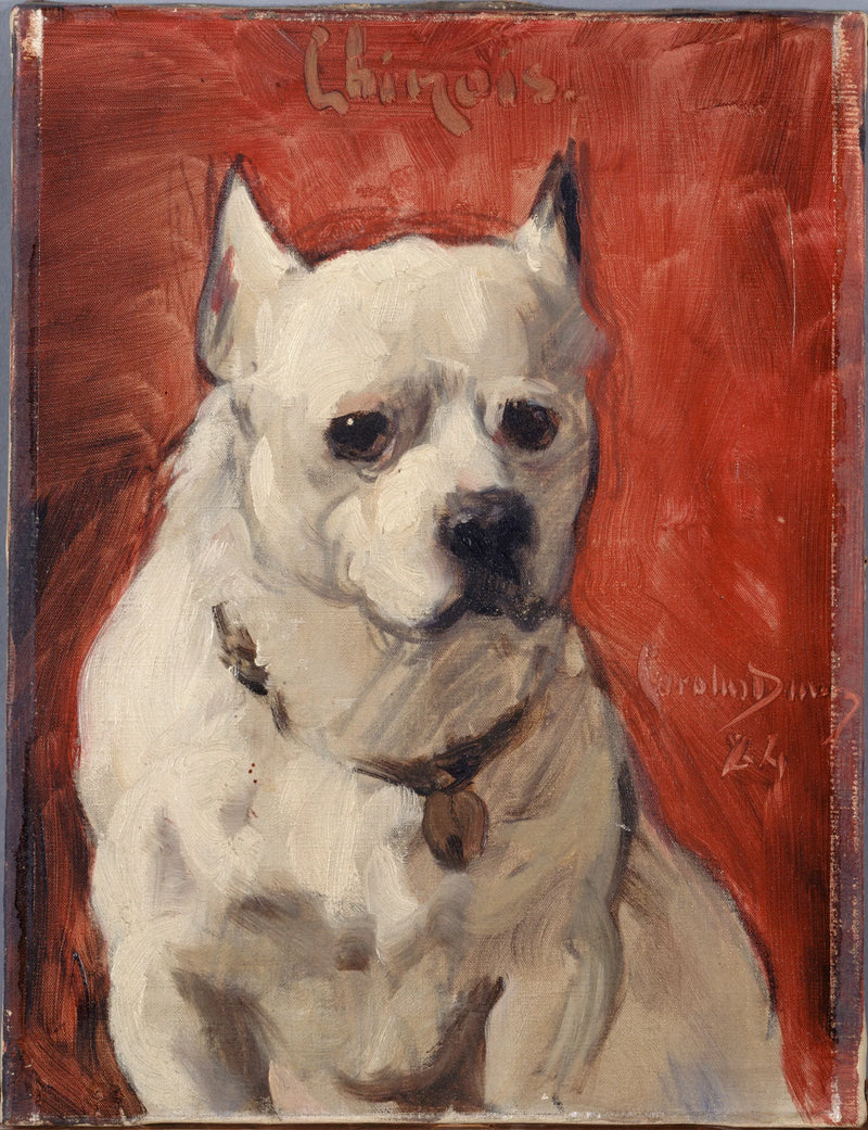 Le chien 