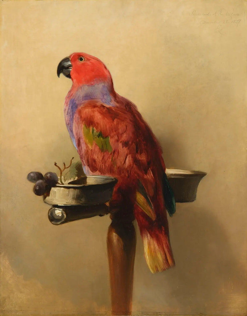 Лори - Эдвин Генри Ландсир