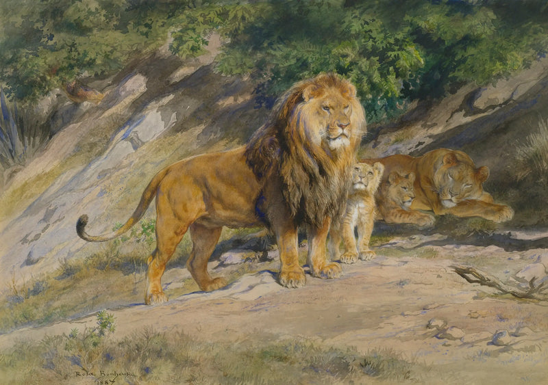 Король смотрит - Роза Бонер