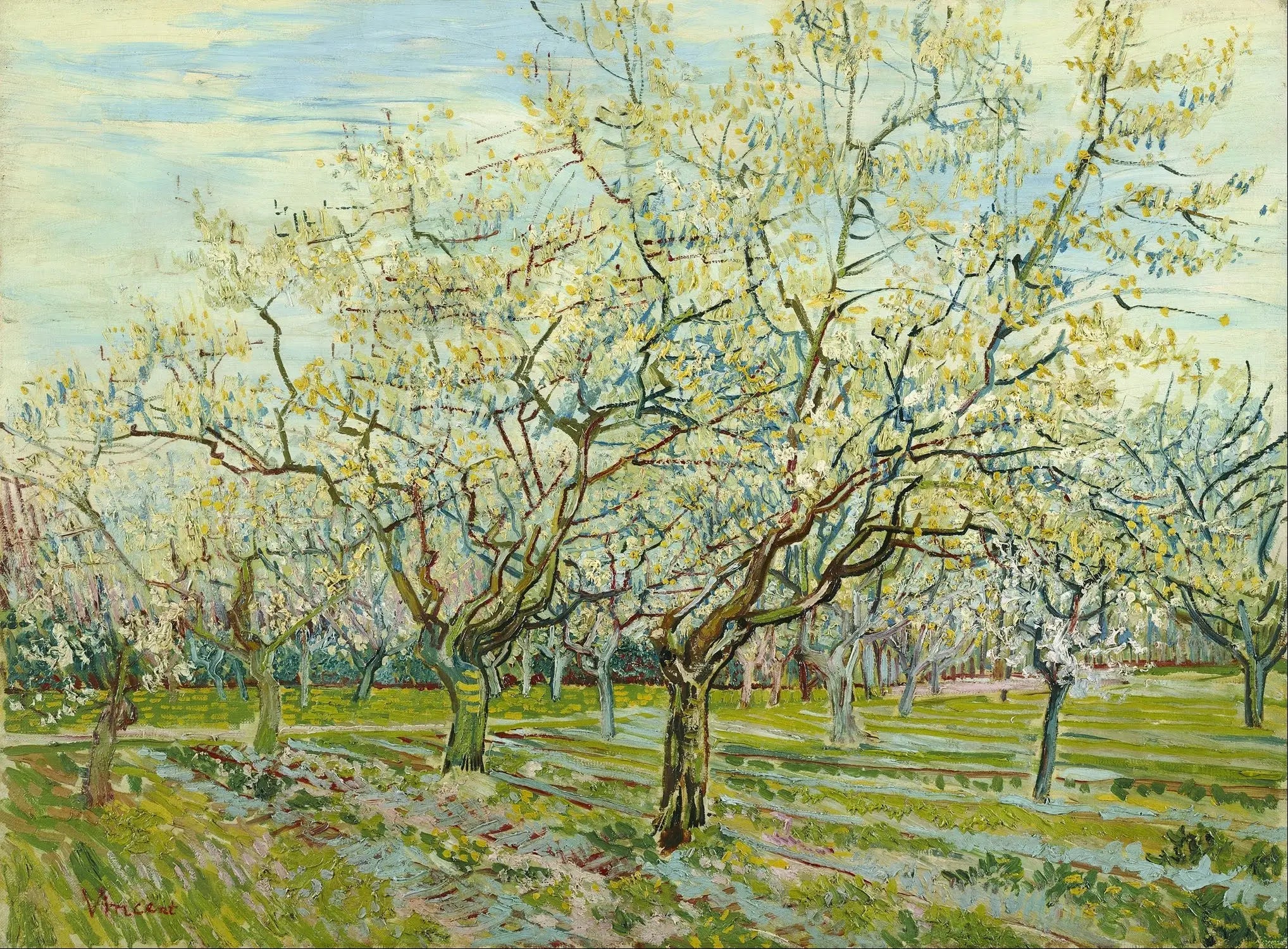 Reproduction du tableau « Le verger blanc - Vincent van Gogh » par Alpha Reproduction en peinture à l’huile