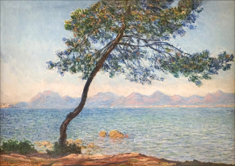 Антибактериальные средства - Клод Моне