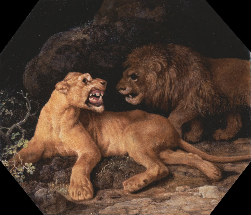 Lion et Lione - George Stubbs - Alpha Reproduction