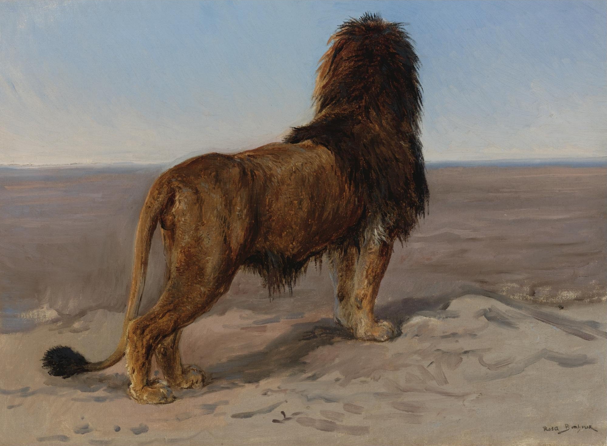 Lion (Le guetteur) - Rosa Bonheur - Alpha Reproduction