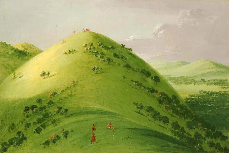 Великолепные луга, Верхний Миссисипи - Джордж Катлин