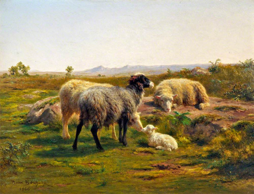 Moutons et agneau - Rosa Bonheur - Alpha Reproduction