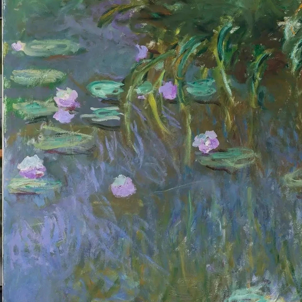 Détail des fleurs mauves, blanches et jaunes dans les Nymphéas de Toledo