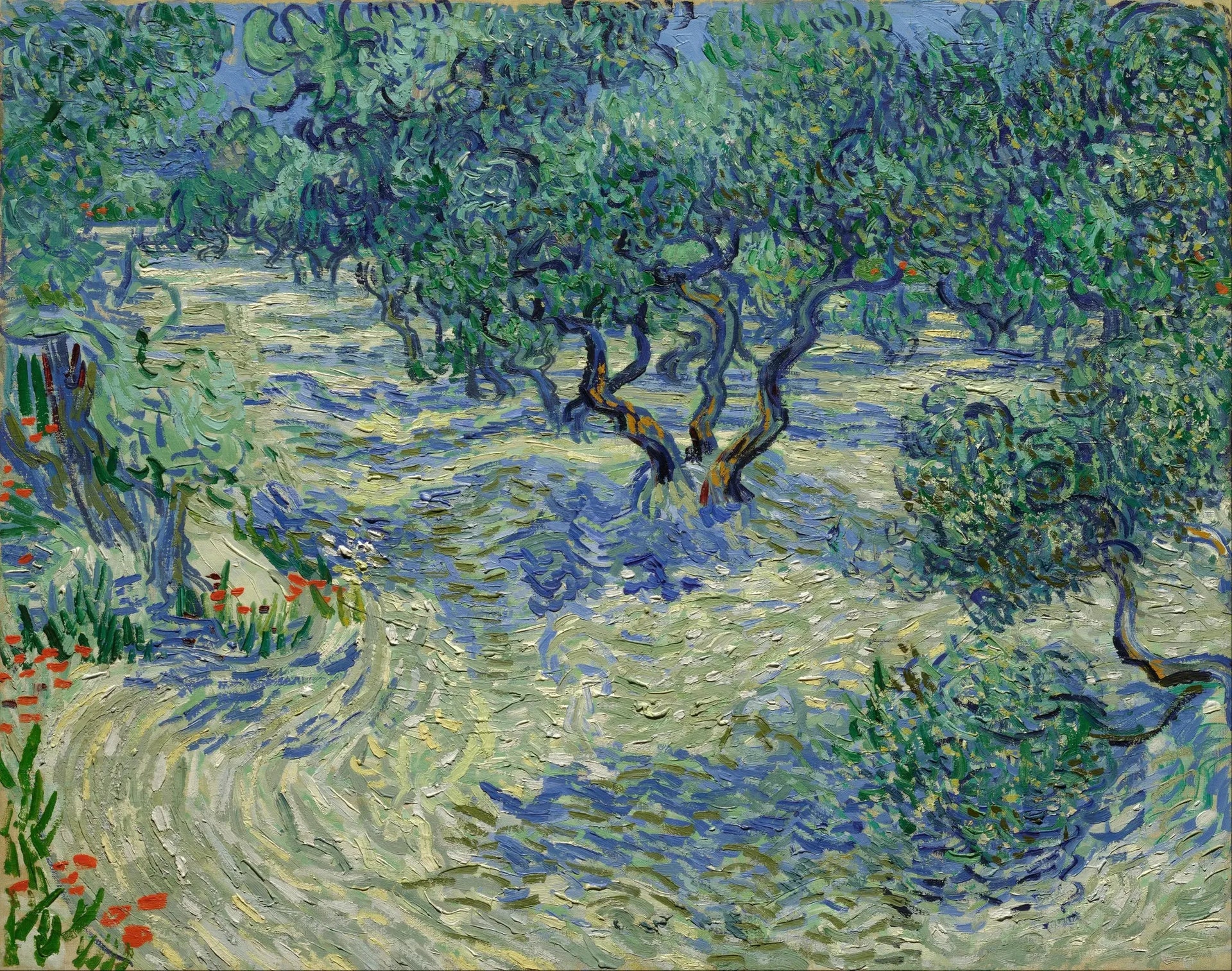 Oliveraie - Vincent van Gogh image 1 reproduction de peinture à l’huile