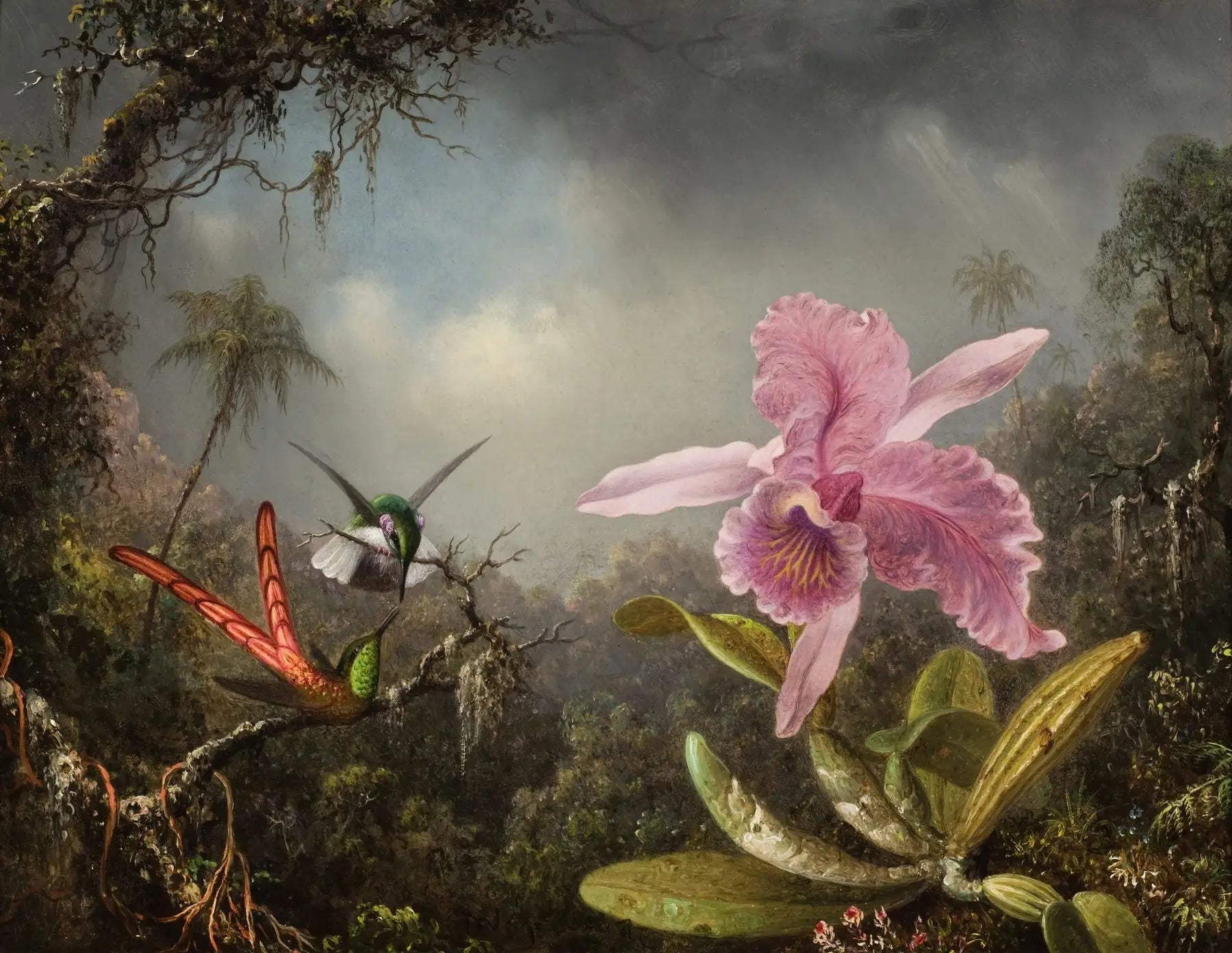 Orchidée avec deux colibris - Martin Johnson Heade - Alpha Reproduction