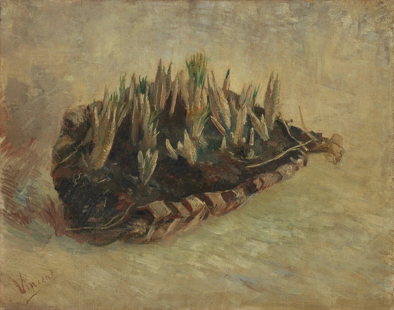 Корзина с луковицами крокусов - Винсент Ван Гог
