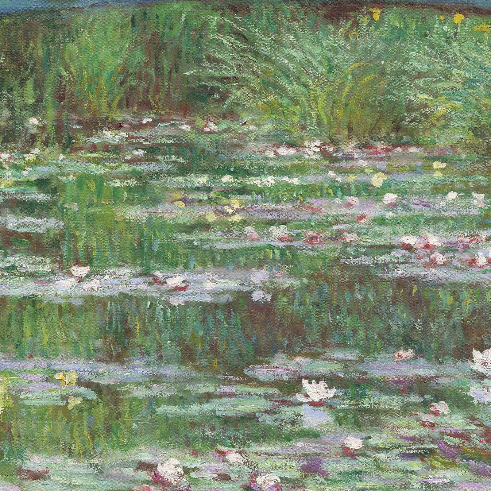 Détail des nymphéas blancs, roses et jaunes sous la passerelle de Claude Monet W1517