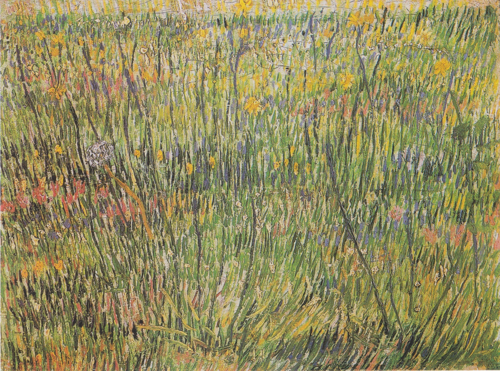 Pâturage en fleurs ou Carré d’herbe F583 de Vincent van Gogh