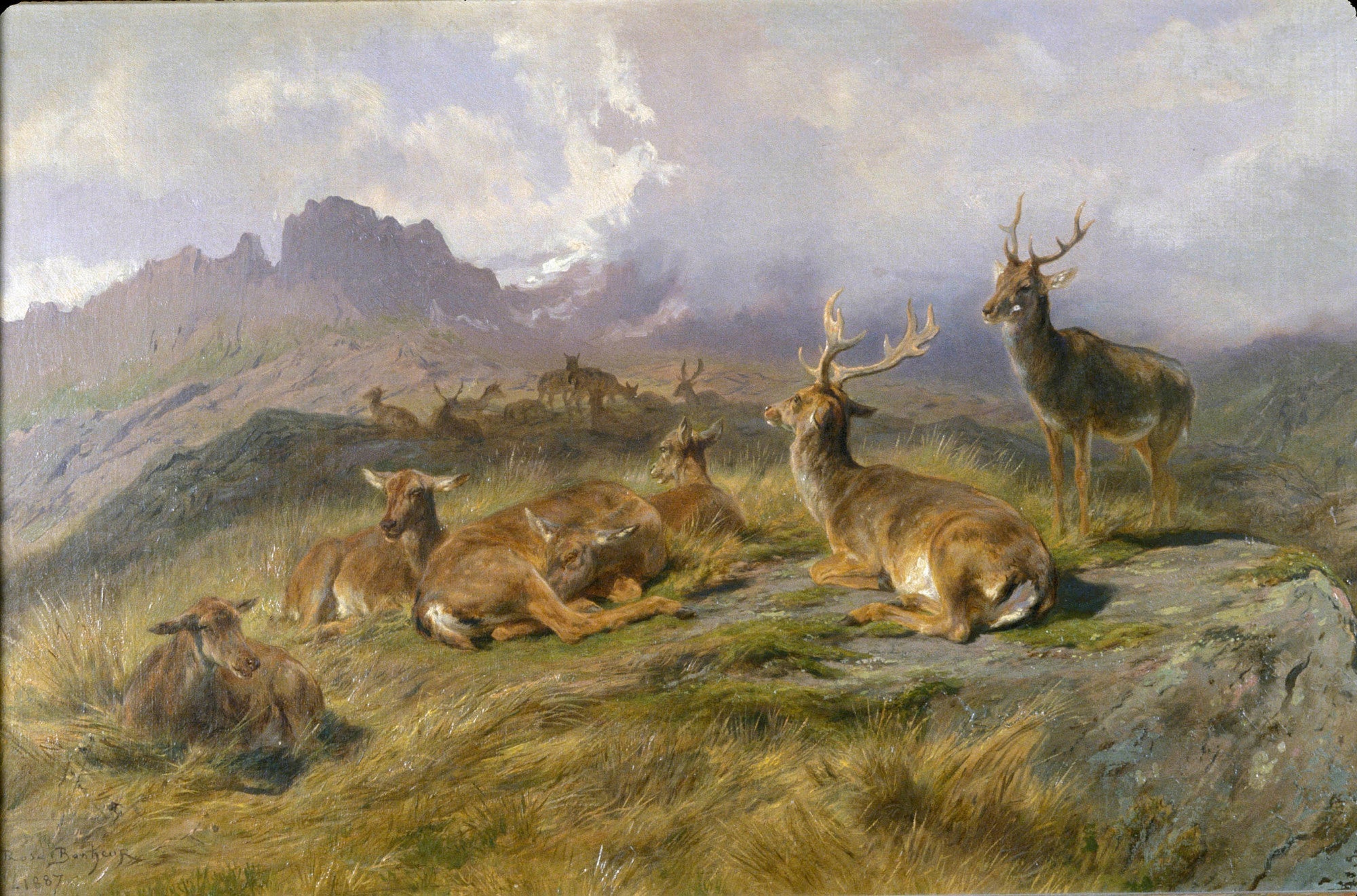 Paysage avec des cerfs - Rosa Bonheur - Alpha Reproduction