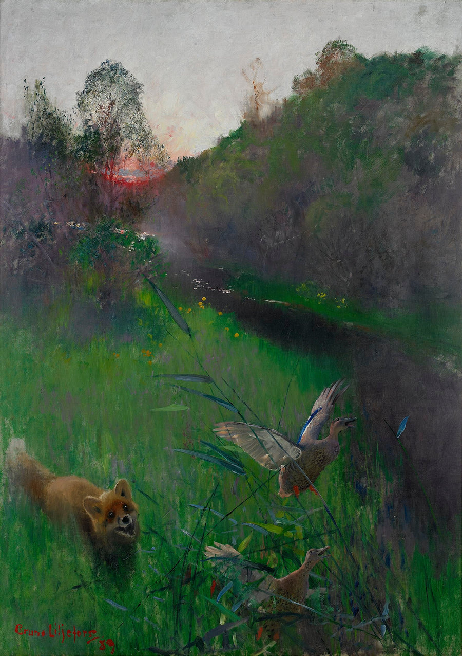 Paysage d'après-midi avec renard et oiseaux marins - Bruno Liljefors