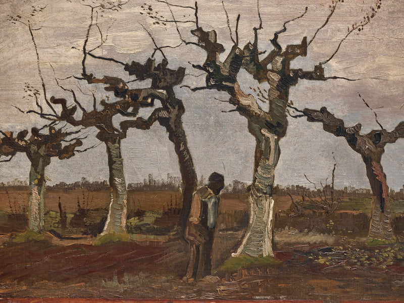 Пейзаж с ивами-головачами - Vincent van Gogh