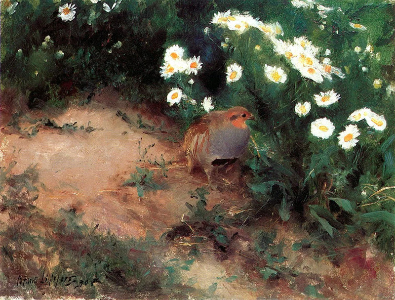 Perdrix avec des marguerites - Bruno Liljefors