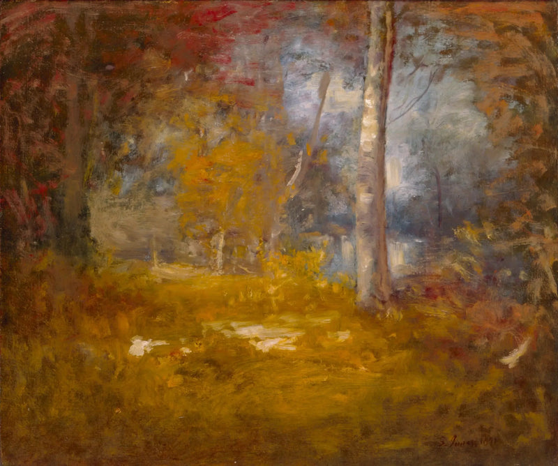 Бассейн Woodland - Джордж Иннесс