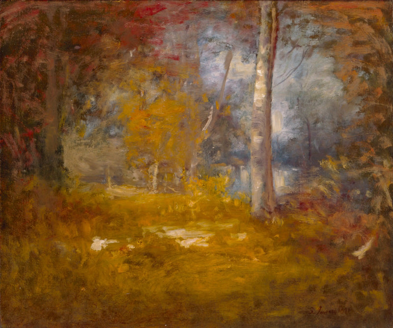 Бассейн Woodland - Джордж Иннесс