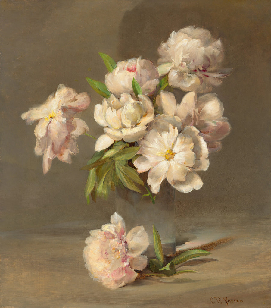 Pivoines dans un vase - Charles Ethan Porter