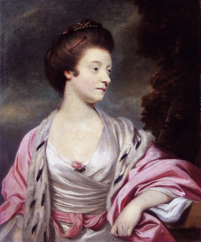 Портрет Элизабет, леди Амхерст (1740-1830) (урождённая Элизабет Кэри) - Джошуа Рейнольдс