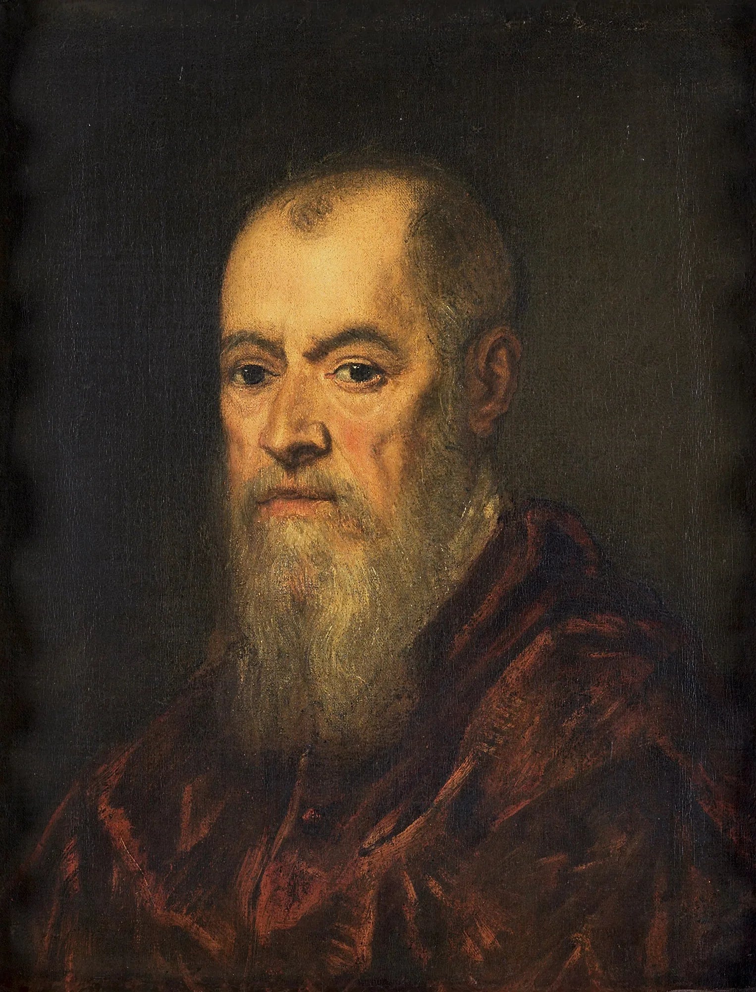 Portrait d'homme avec un manteau rouge - Jacopo Tintoretto image 1 reproduction de peinture à l’huile
