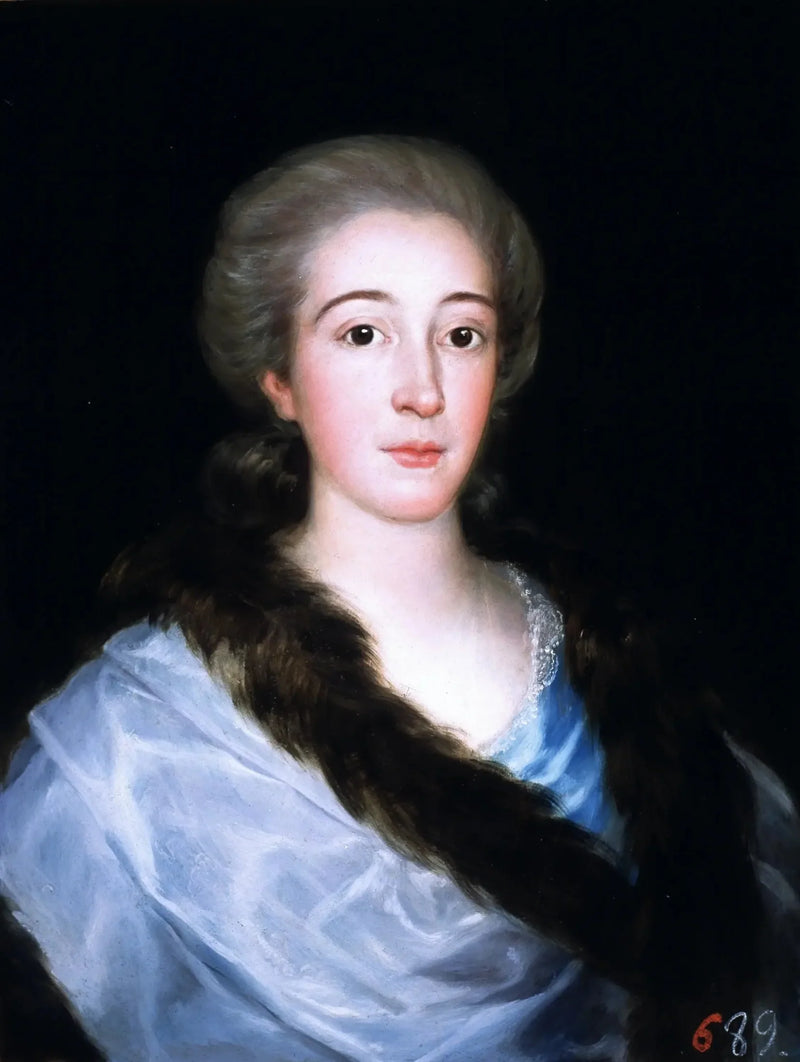 Портрет доны Марии Терезы де Вальябриги и Розас (1759-1820) - Франсиско Гойя