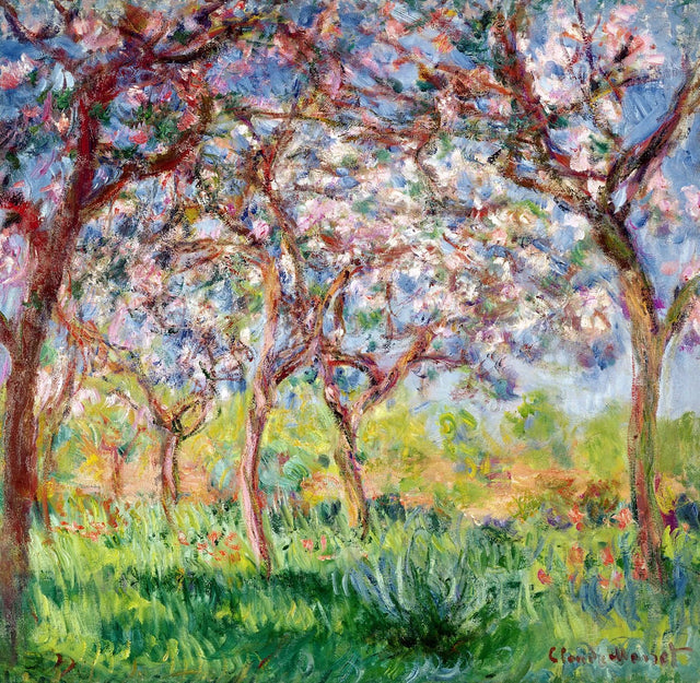 Весна в Живерни, 1903 - Клод Моне